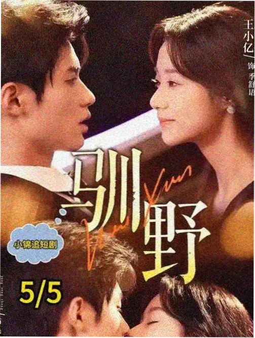 雾中车站海报示意图